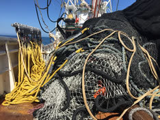 Fishing Net, Lead Rope, Lead Line (C014) - China Lead Line and